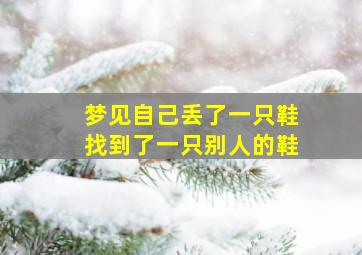 梦见自己丢了一只鞋找到了一只别人的鞋