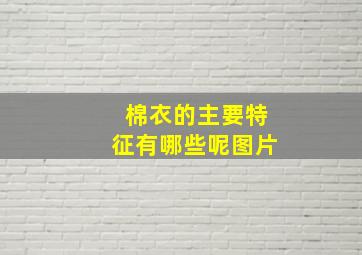 棉衣的主要特征有哪些呢图片