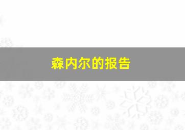 森内尔的报告