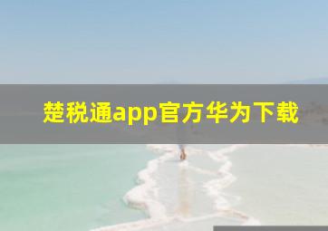 楚税通app官方华为下载