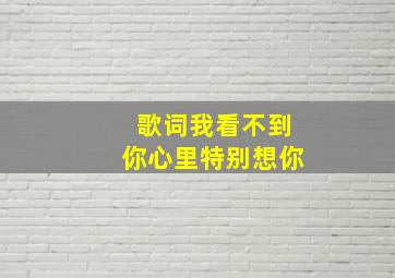 歌词我看不到你心里特别想你