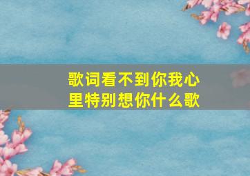 歌词看不到你我心里特别想你什么歌