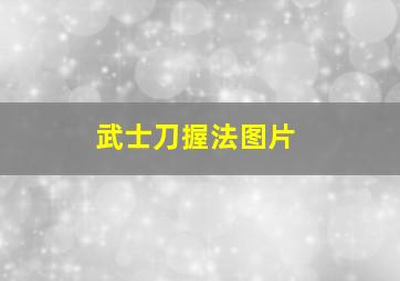 武士刀握法图片