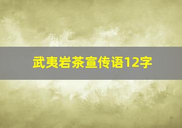 武夷岩茶宣传语12字