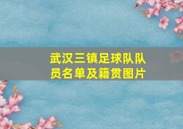 武汉三镇足球队队员名单及籍贯图片