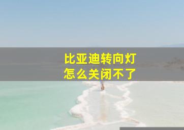 比亚迪转向灯怎么关闭不了