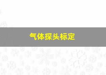 气体探头标定