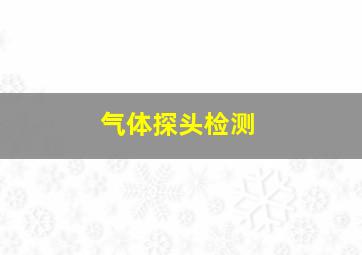 气体探头检测