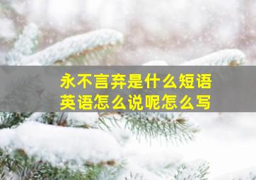 永不言弃是什么短语英语怎么说呢怎么写