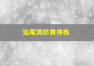 汕尾消防黄伟栋