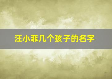 汪小菲几个孩子的名字