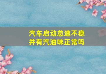 汽车启动怠速不稳并有汽油味正常吗