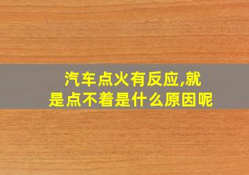 汽车点火有反应,就是点不着是什么原因呢