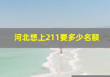 河北想上211要多少名额