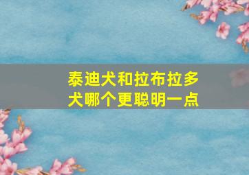 泰迪犬和拉布拉多犬哪个更聪明一点