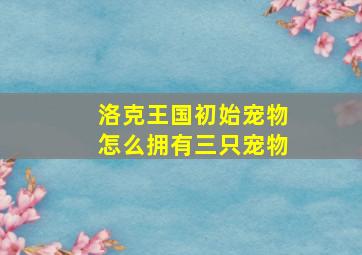 洛克王国初始宠物怎么拥有三只宠物