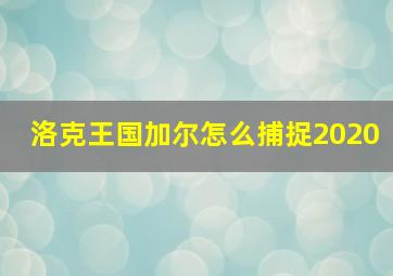 洛克王国加尔怎么捕捉2020