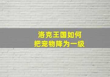 洛克王国如何把宠物降为一级