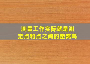 测量工作实际就是测定点和点之间的距离吗