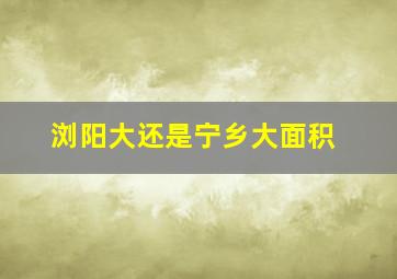 浏阳大还是宁乡大面积