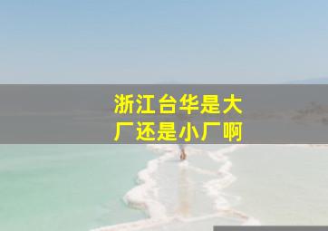 浙江台华是大厂还是小厂啊