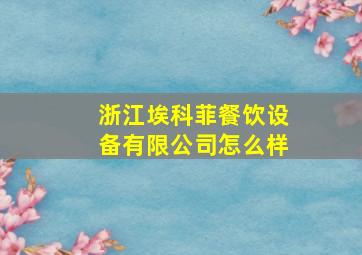 浙江埃科菲餐饮设备有限公司怎么样