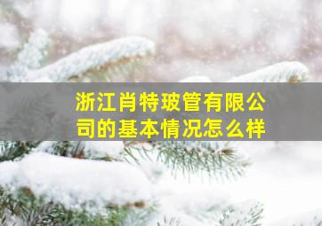 浙江肖特玻管有限公司的基本情况怎么样