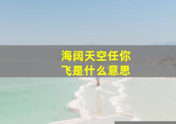 海阔天空任你飞是什么意思