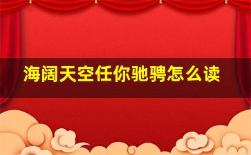 海阔天空任你驰骋怎么读