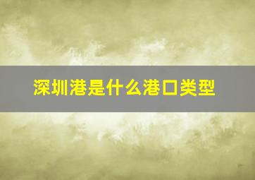 深圳港是什么港口类型