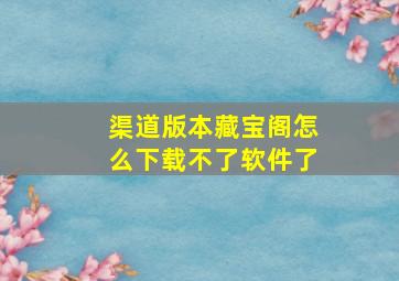 渠道版本藏宝阁怎么下载不了软件了