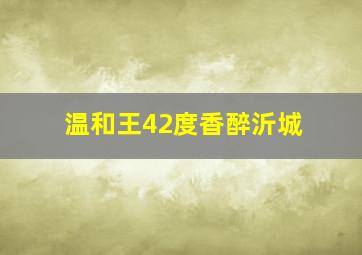 温和王42度香醉沂城