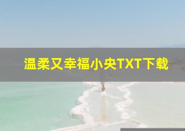 温柔又幸福小央TXT下载