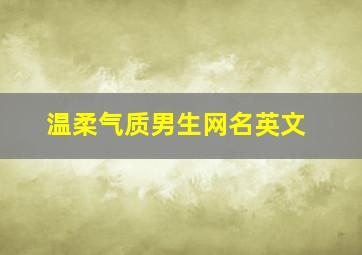 温柔气质男生网名英文