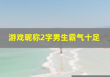 游戏昵称2字男生霸气十足