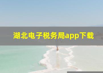 湖北电子税务局app下载