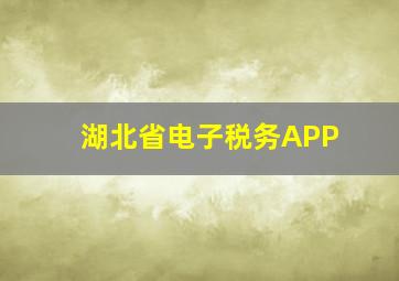 湖北省电子税务APP