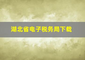 湖北省电子税务局下载