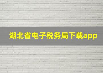 湖北省电子税务局下载app