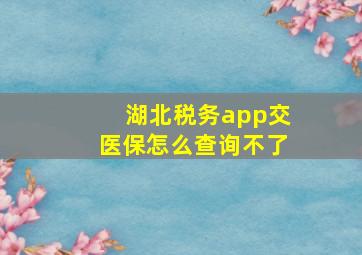 湖北税务app交医保怎么查询不了