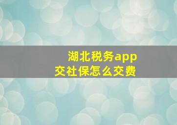 湖北税务app交社保怎么交费