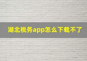 湖北税务app怎么下载不了