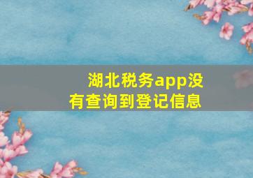 湖北税务app没有查询到登记信息