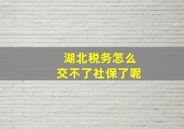 湖北税务怎么交不了社保了呢