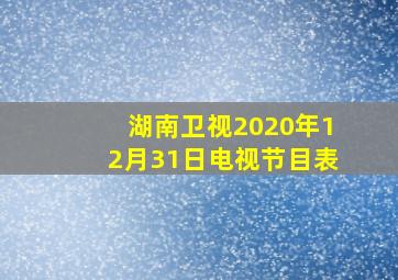 湖南卫视2020年12月31日电视节目表