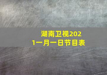 湖南卫视2021一月一日节目表