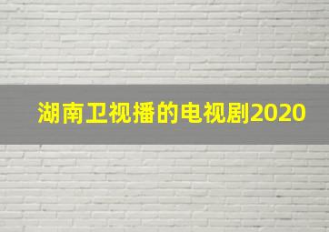 湖南卫视播的电视剧2020