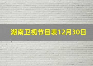 湖南卫视节目表12月30日