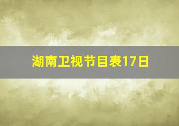 湖南卫视节目表17日