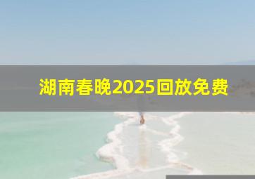 湖南春晚2025回放免费